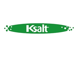 Ksalt: soluo econmica e eficaz para empresas que buscam se atualizar no mercado
